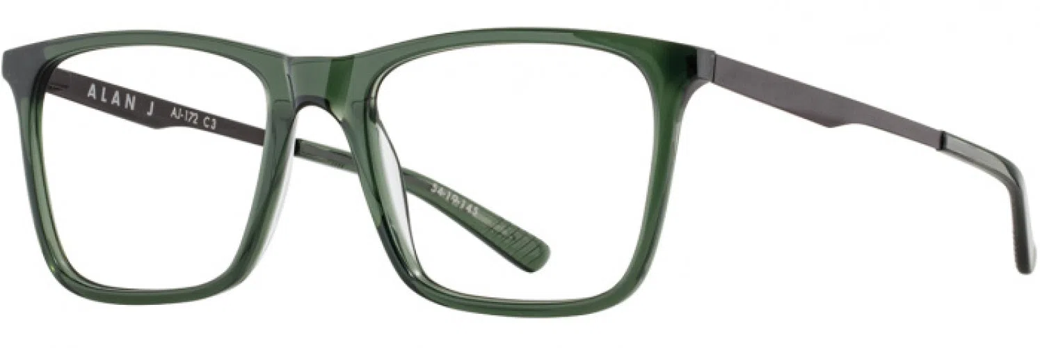 Alan J AJ172 Eyeglasses - view 7